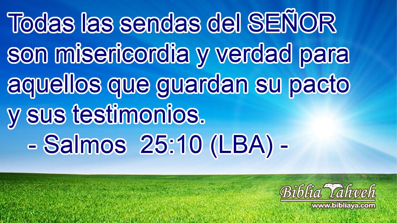 Todas las sendas del SEÑOR son misericordia y verdad para aquellos que guardan su pacto y sus testimonios.