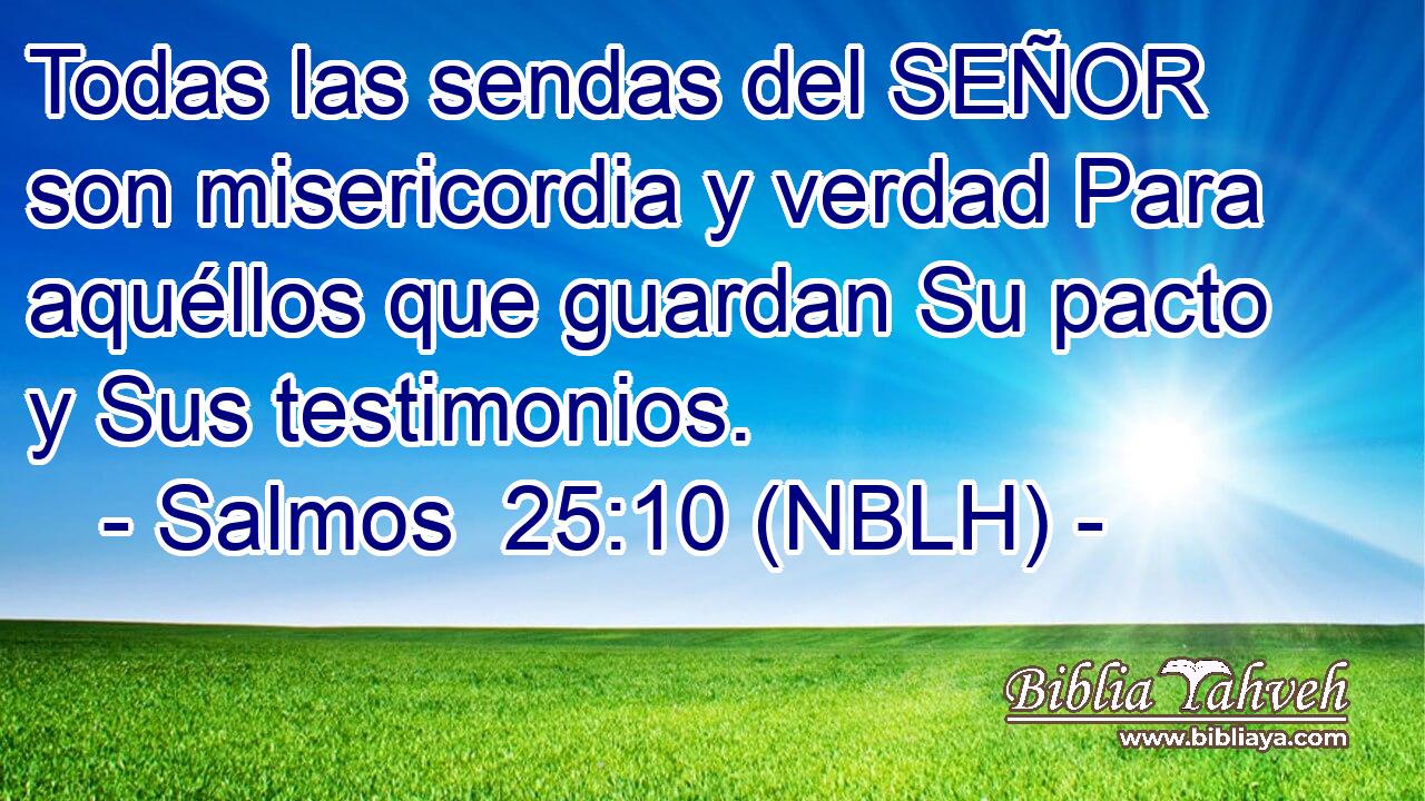  Todas las sendas del SEÑOR son misericordia y verdad Para aquéllos que guardan Su pacto y Sus testimonios. 