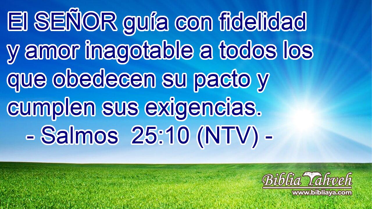 El SEÑOR guía con fidelidad y amor inagotable a todos los que obedecen su pacto y cumplen sus exigencias.