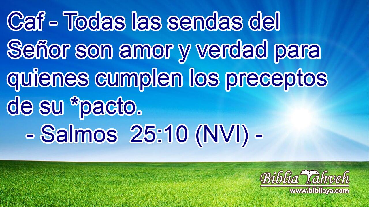 Caf - Todas las sendas del Señor son amor y verdad para quienes cumplen los preceptos de su *pacto. 