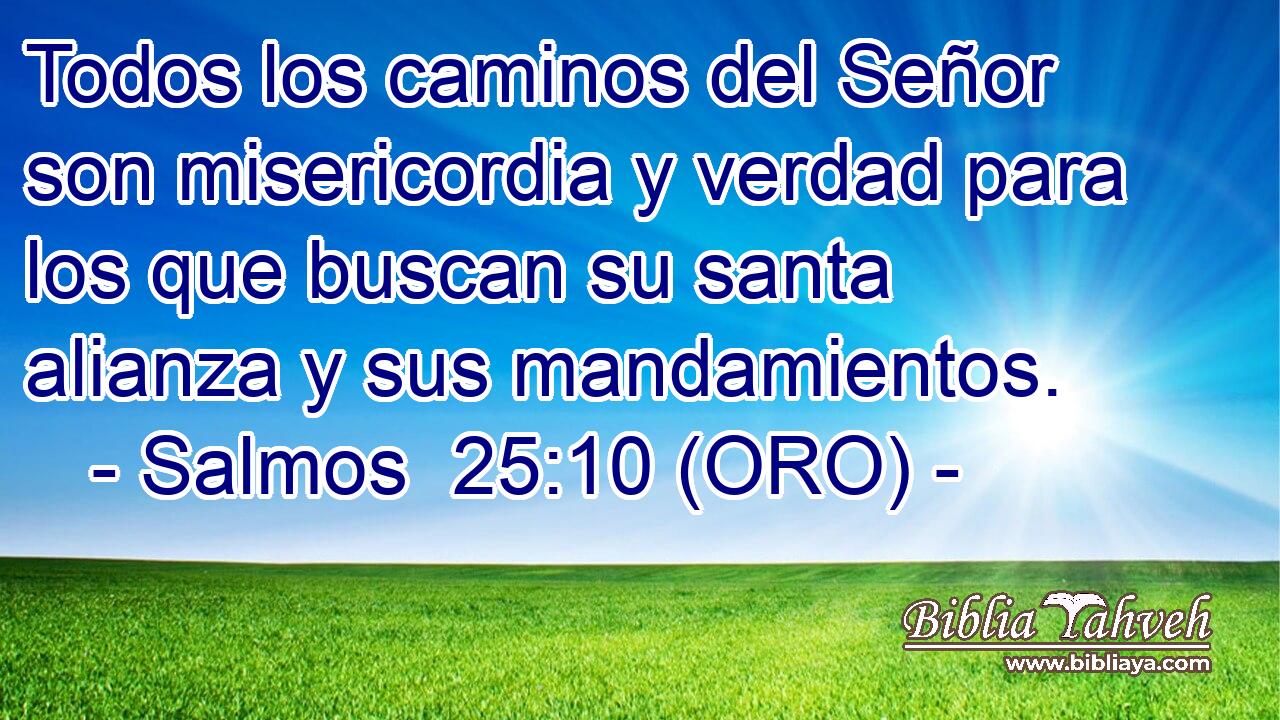  Todos los caminos del Señor son misericordia y verdad para los que buscan su santa alianza y sus mandamientos. 