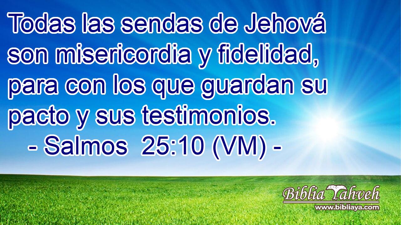  Todas las sendas de Jehová son misericordia y fidelidad, para con los que guardan su pacto y sus testimonios. 