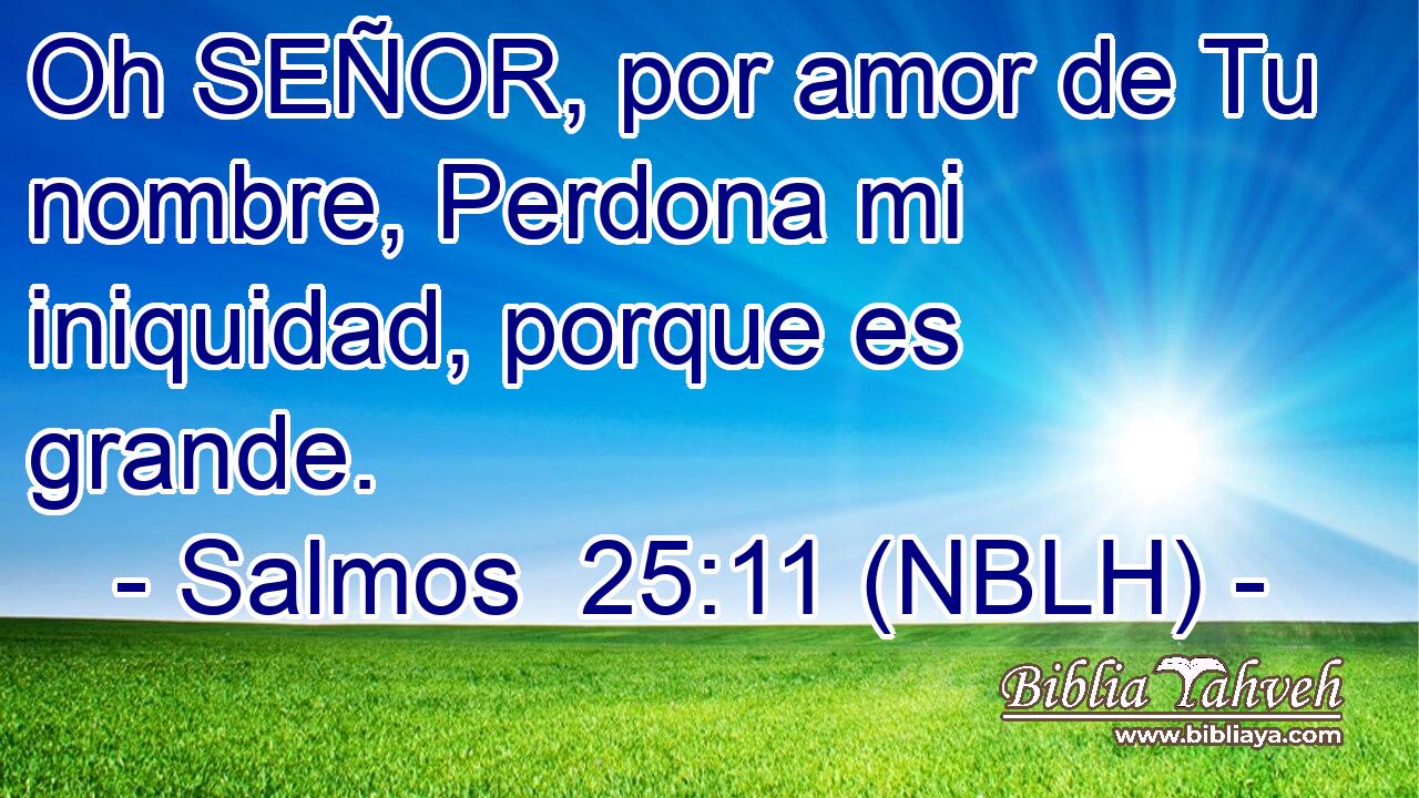  Oh SEÑOR, por amor de Tu nombre, Perdona mi iniquidad, porque es grande. 