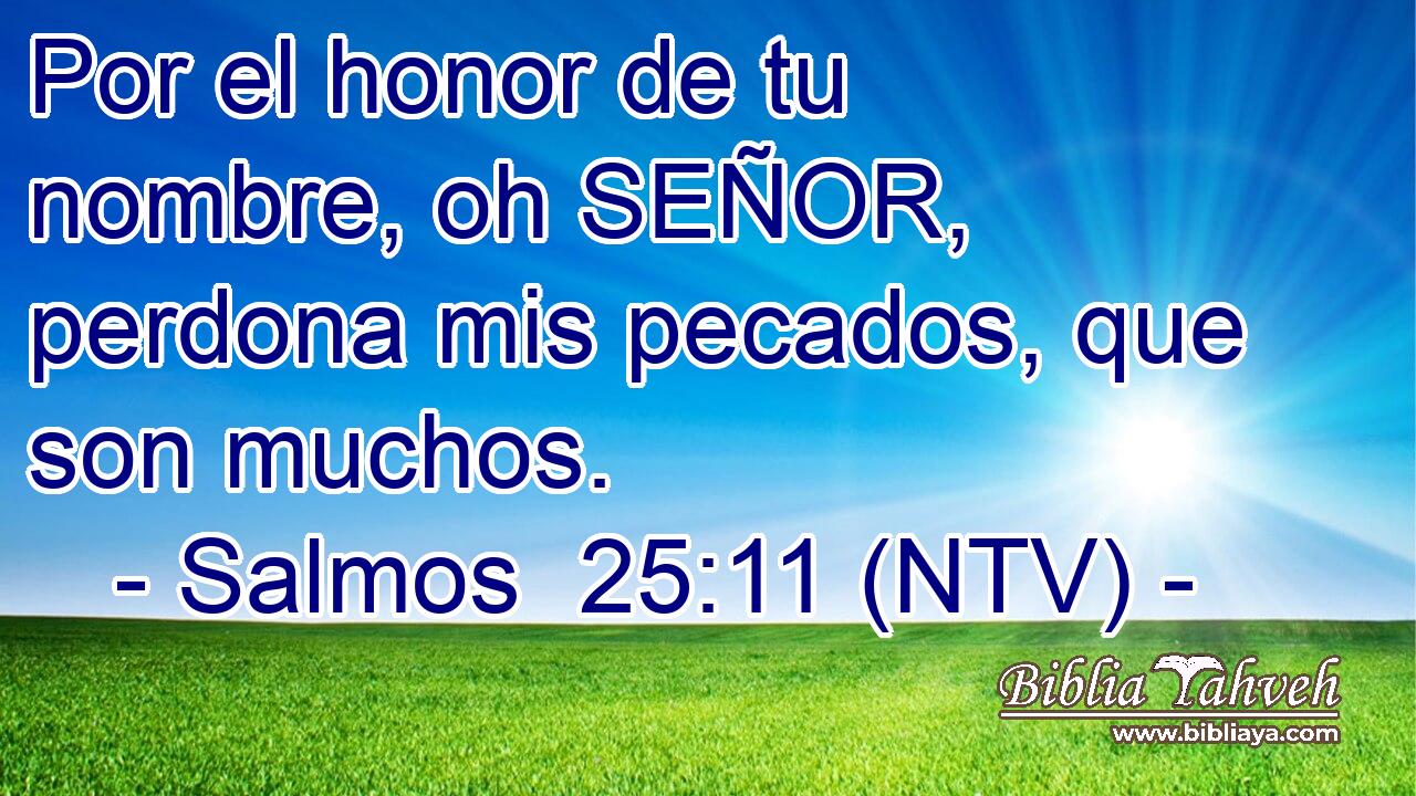 Por el honor de tu nombre, oh SEÑOR, perdona mis pecados, que son muchos.