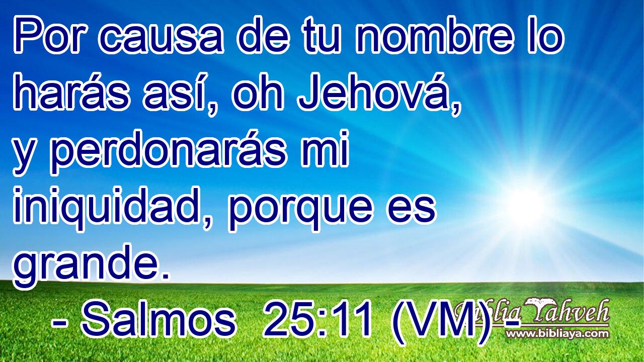  Por causa de tu nombre lo harás así, oh Jehová, y perdonarás mi iniquidad, porque es grande. 