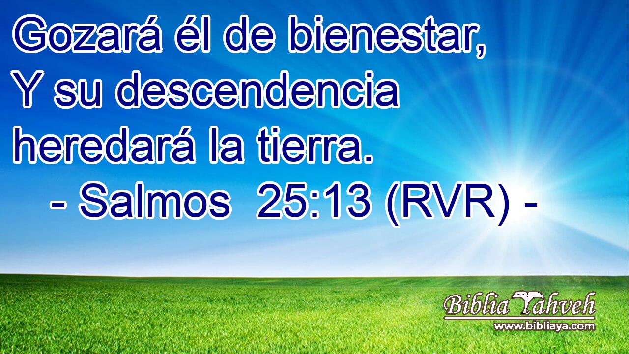 Gozará él de bienestar, Y su descendencia heredará la tierra.