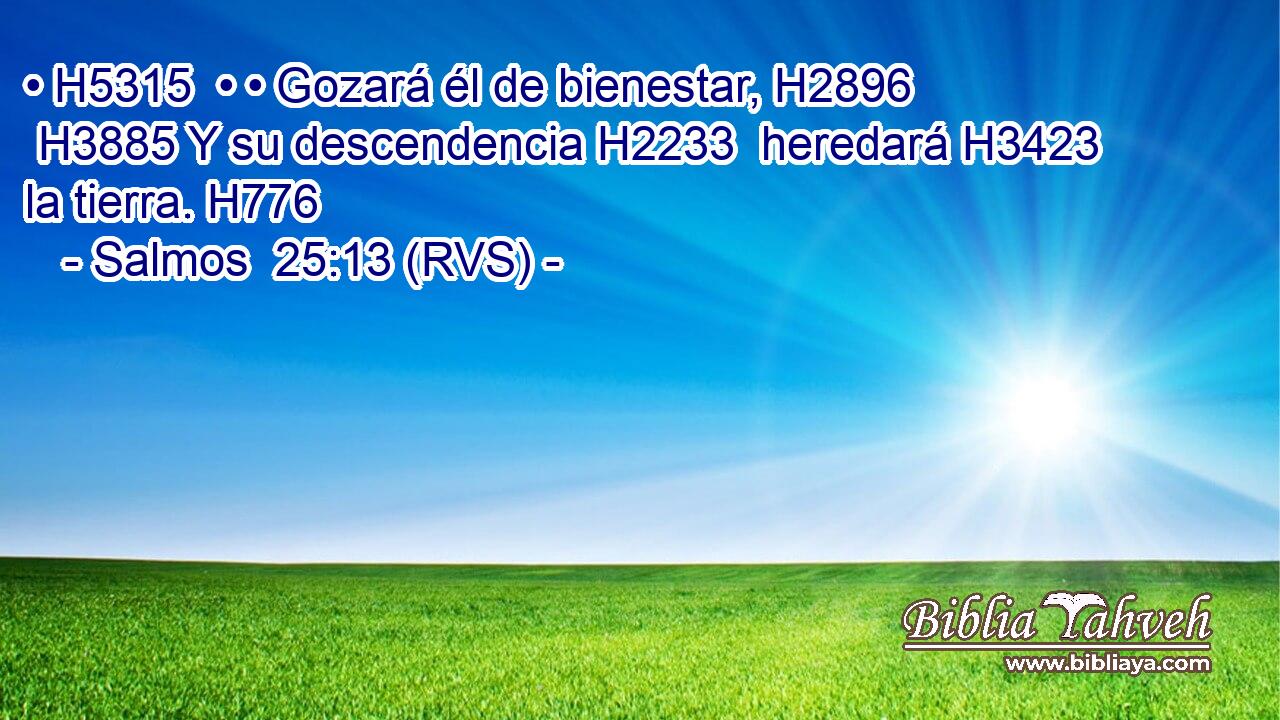 • H5315  • • Gozará él de bienestar, H2896  H3885 Y su descendencia H2233  heredará H3423  la tierra. H776  