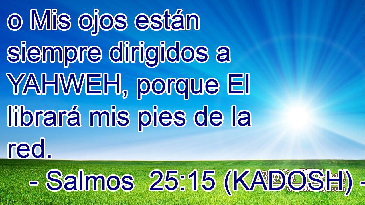  ס Mis ojos están siempre dirigidos a YAHWEH, porque El librará mis pies de la red. 