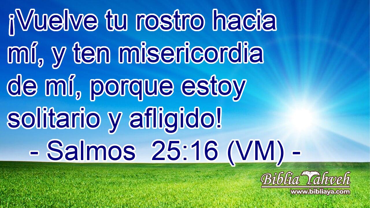  ¡Vuelve tu rostro hacia mí, y ten misericordia de mí, porque estoy solitario y afligido! 