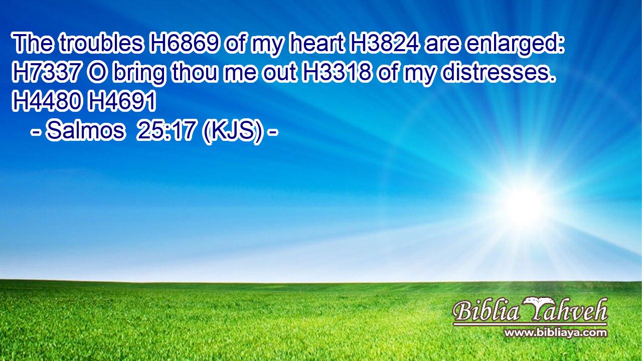 The troubles H6869 of my heart H3824 are enlarged: H7337 O bring thou me out H3318 of my distresses. H4480 H4691