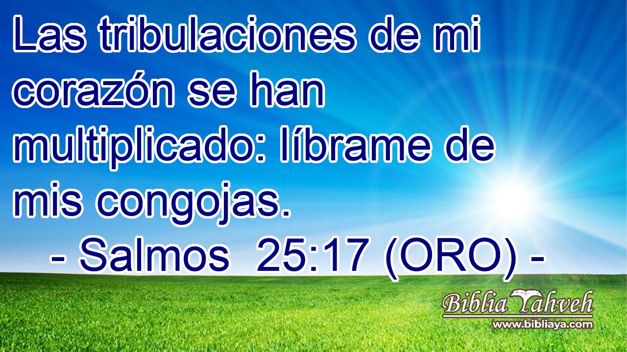  Las tribulaciones de mi corazón se han multiplicado: líbrame de mis congojas. 