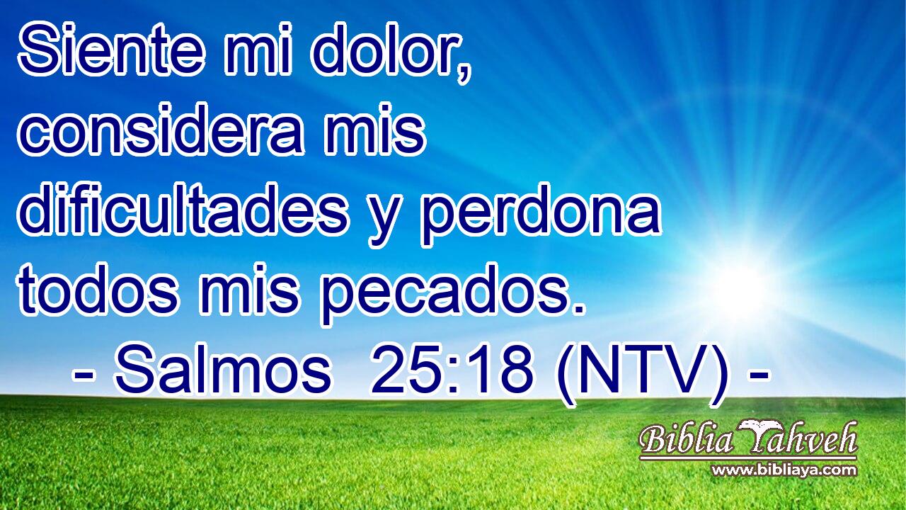 Siente mi dolor, considera mis dificultades y perdona todos mis pecados.