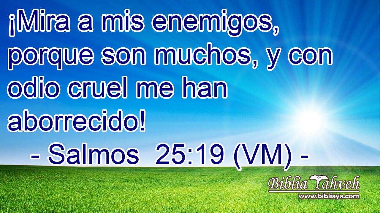  ¡Mira a mis enemigos, porque son muchos, y con odio cruel me han aborrecido! 