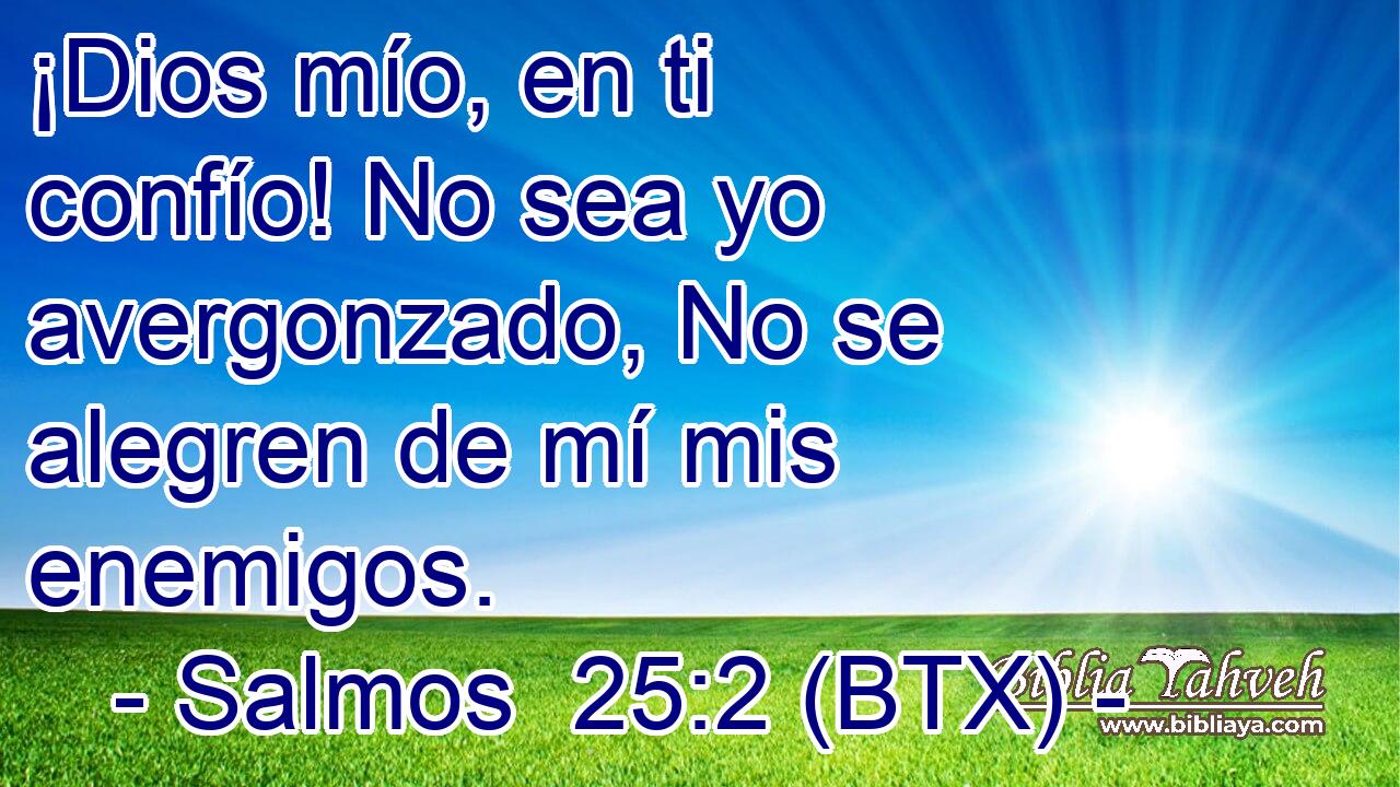¡Dios mío, en ti confío! No sea yo avergonzado, No se alegren de mí mis enemigos.