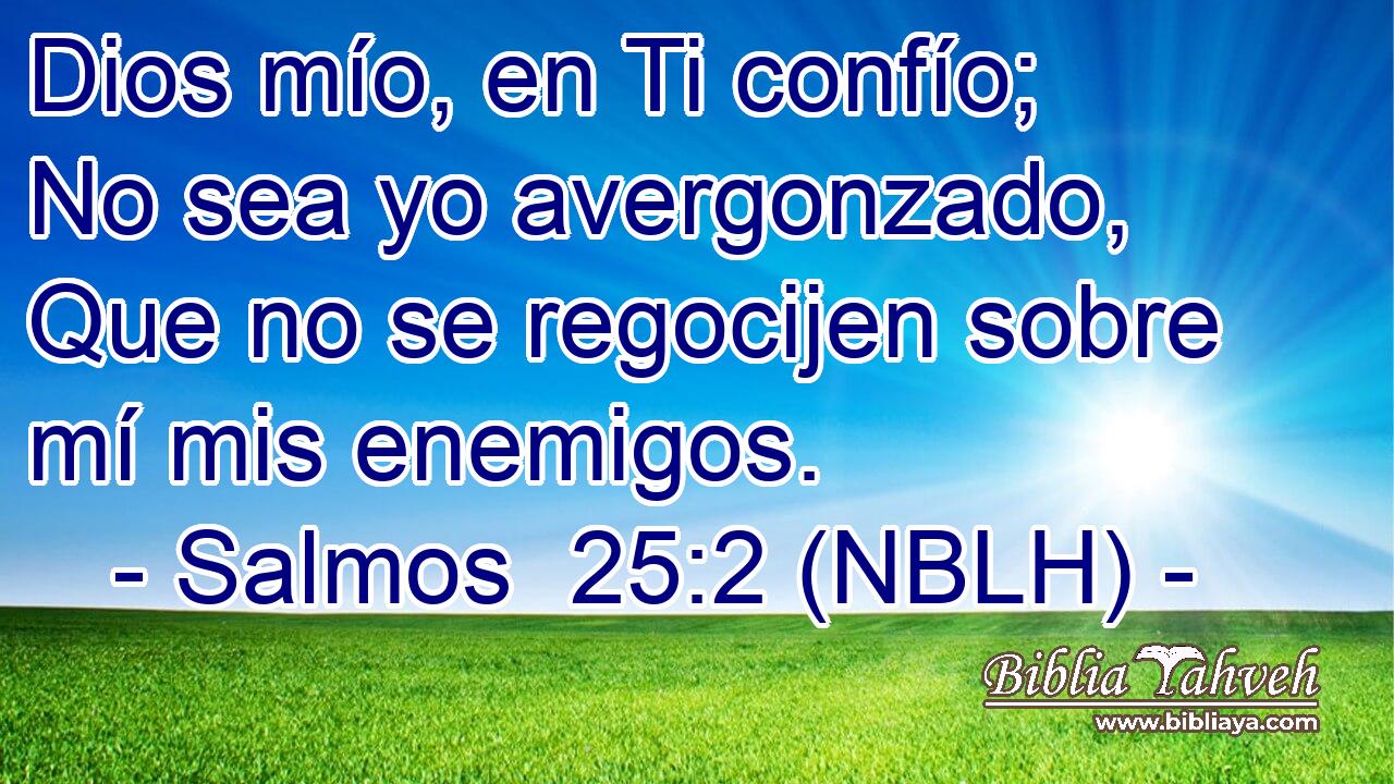  Dios mío, en Ti confío; No sea yo avergonzado, Que no se regocijen sobre mí mis enemigos. 