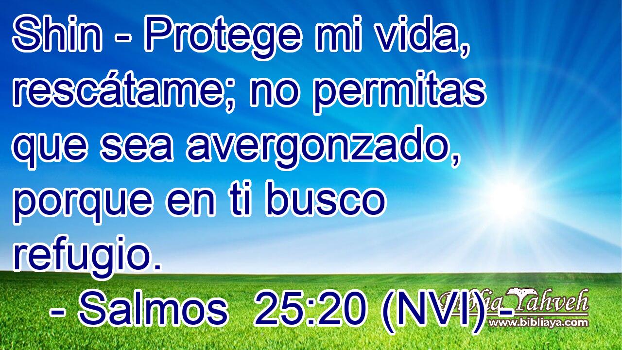  Shin - Protege mi vida, rescátame; no permitas que sea avergonzado, porque en ti busco refugio. 