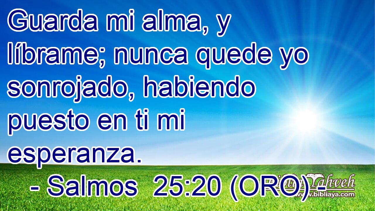  Guarda mi alma, y líbrame; nunca quede yo sonrojado, habiendo puesto en ti mi esperanza. 