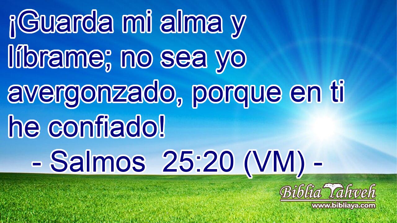  ¡Guarda mi alma y líbrame; no sea yo avergonzado, porque en ti he confiado! 