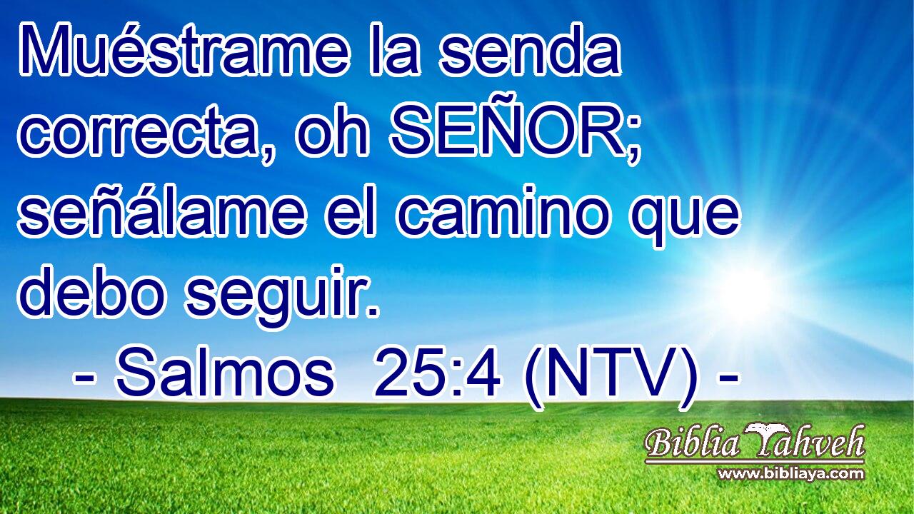 Muéstrame la senda correcta, oh SEÑOR; señálame el camino que debo seguir.