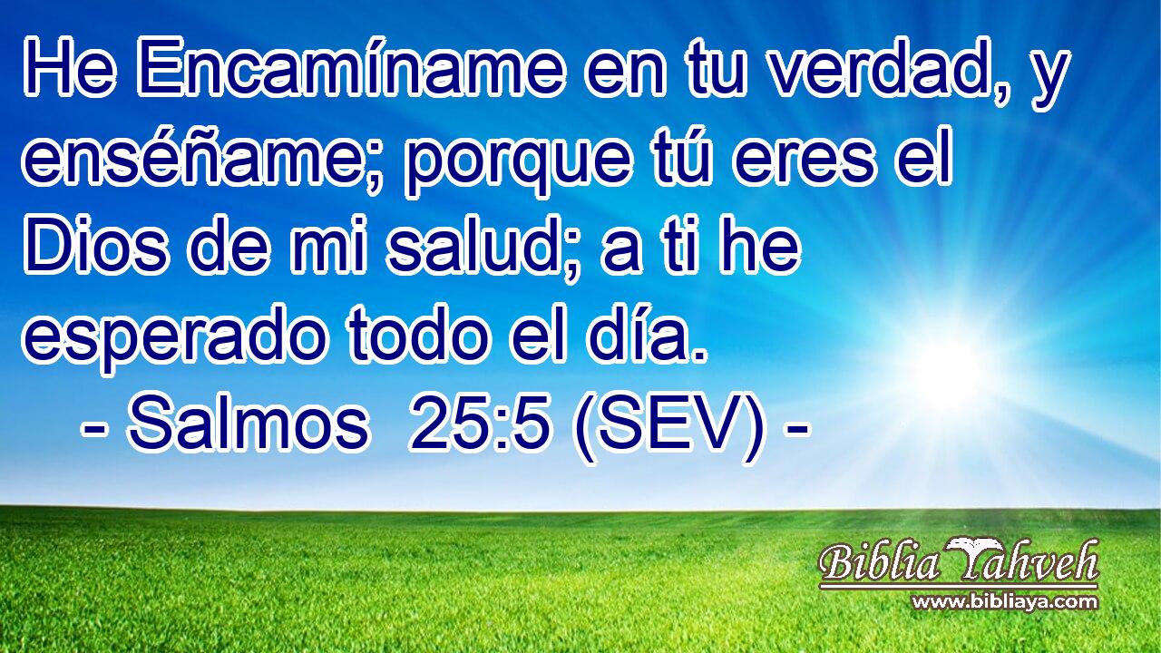 He Encamíname en tu verdad, y enséñame; porque tú eres el Dios de mi salud; a ti he esperado todo el día.