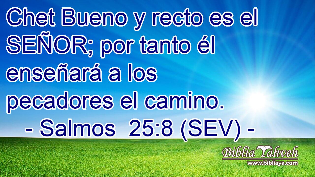 Chet Bueno y recto es el SEÑOR; por tanto él enseñará a los pecadores el camino.