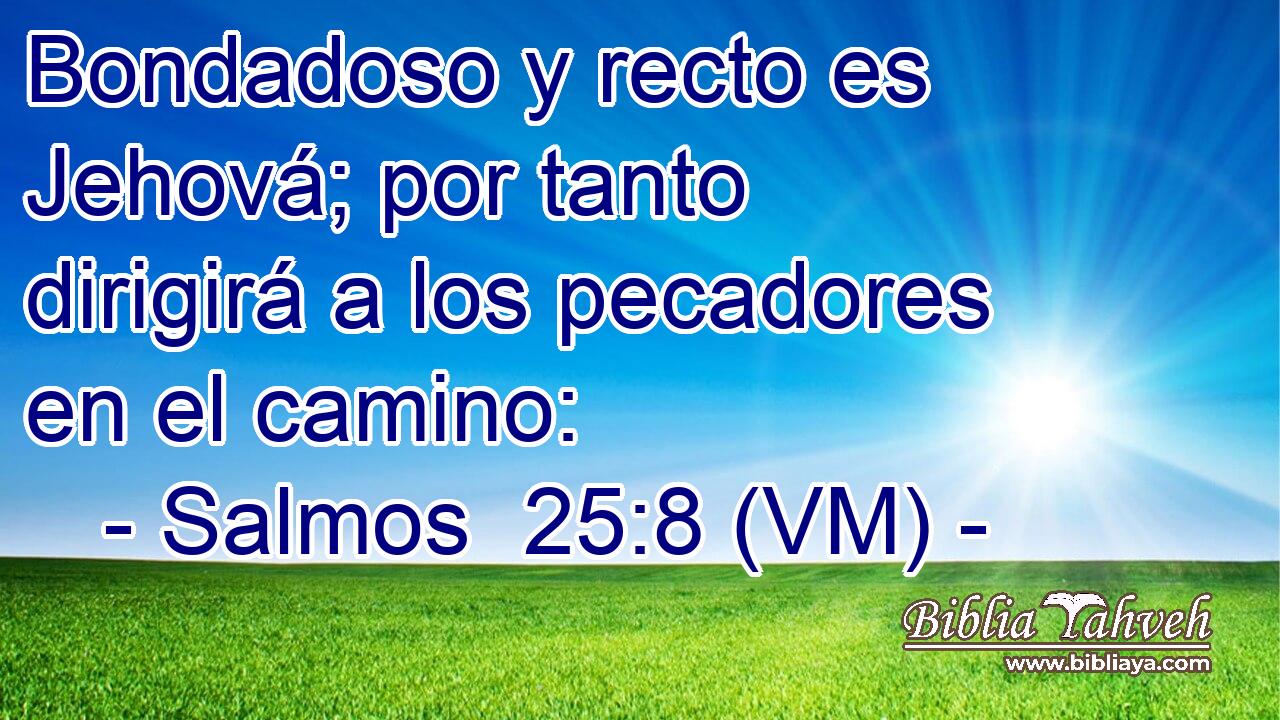  Bondadoso y recto es Jehová; por tanto dirigirá a los pecadores en el camino: 