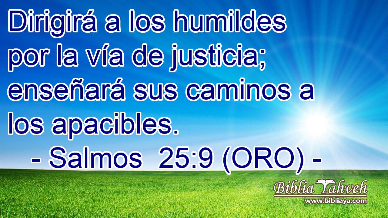  Dirigirá a los humildes por la vía de justicia; enseñará sus caminos a los apacibles. 