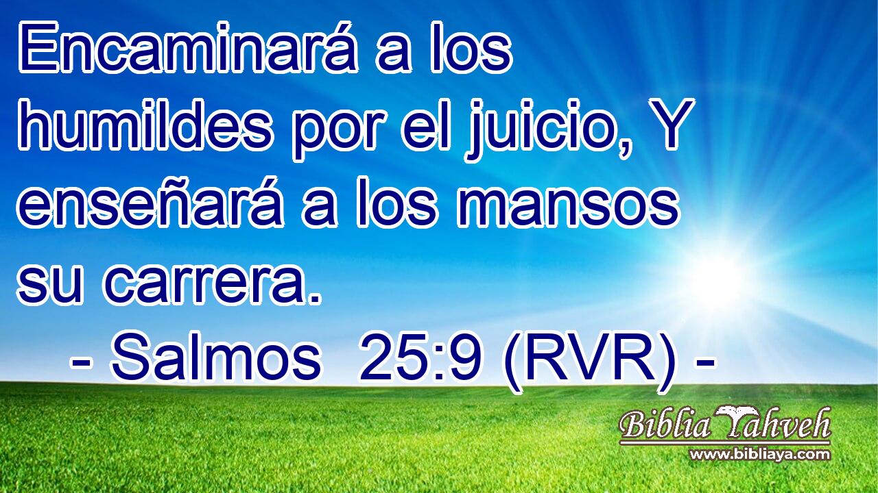 Encaminará a los humildes por el juicio, Y enseñará a los mansos su carrera.