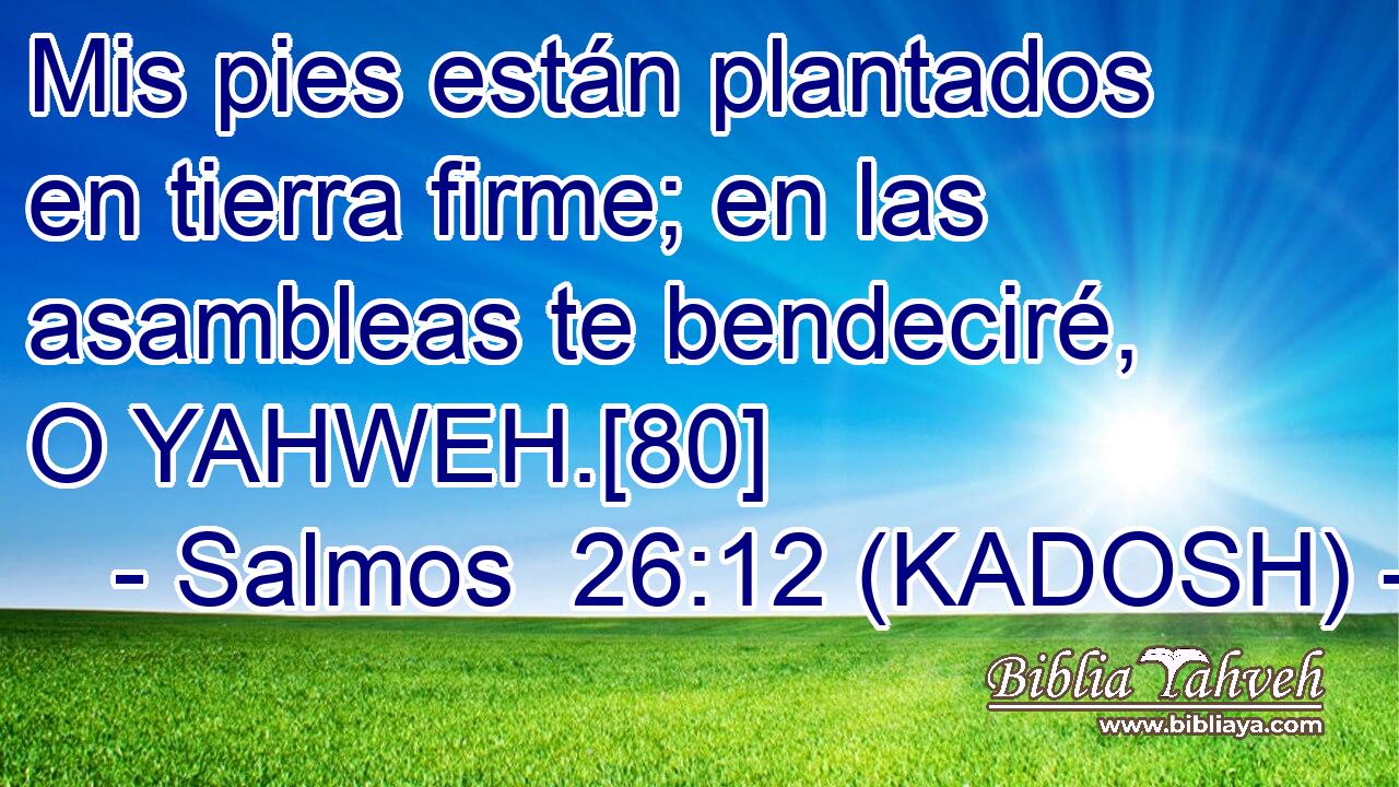  Mis pies están plantados en tierra firme; en las asambleas te bendeciré, O YAHWEH.[80] 