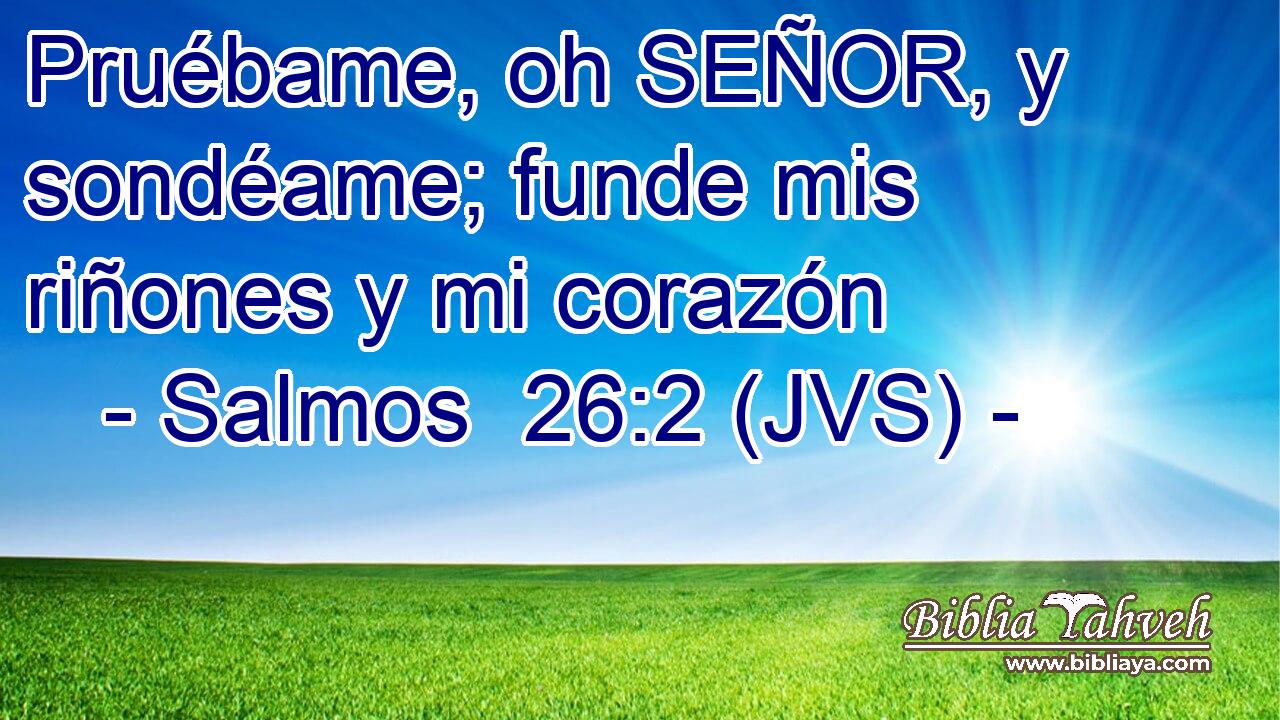 Pruébame, oh SEÑOR, y sondéame; funde mis riñones y mi corazón