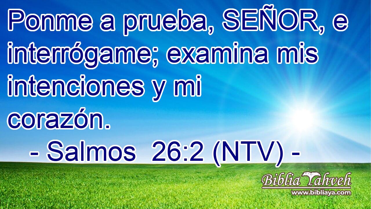 Ponme a prueba, SEÑOR, e interrógame; examina mis intenciones y mi corazón.