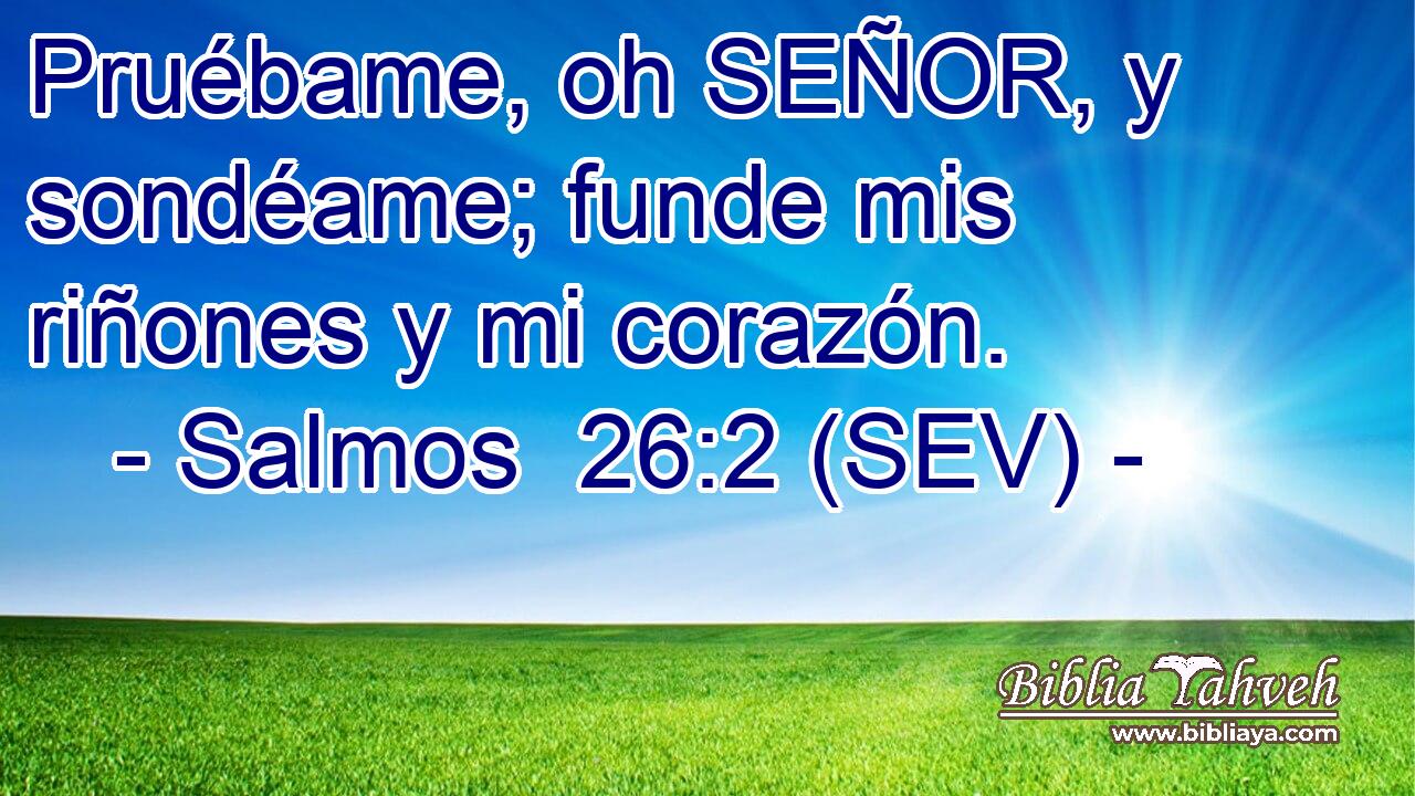 Pruébame, oh SEÑOR, y sondéame; funde mis riñones y mi corazón.