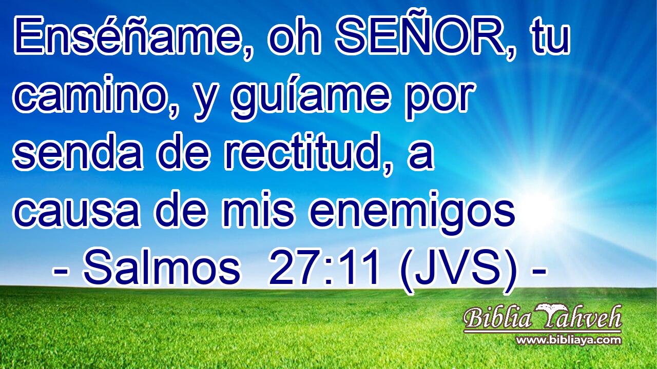 Enséñame, oh SEÑOR, tu camino, y guíame por senda de rectitud, a causa de mis enemigos