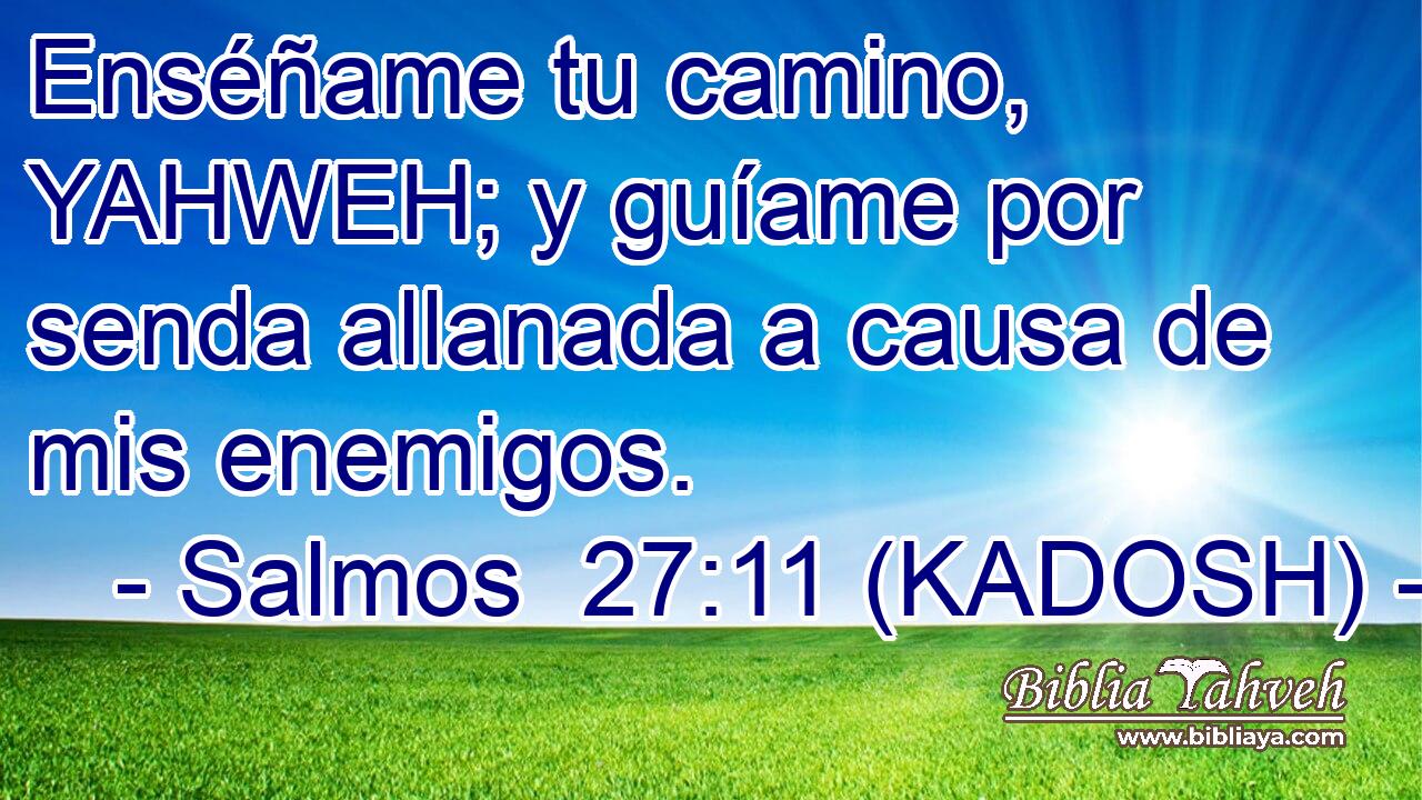  Enséñame tu camino, YAHWEH; y guíame por senda allanada a causa de mis enemigos. 