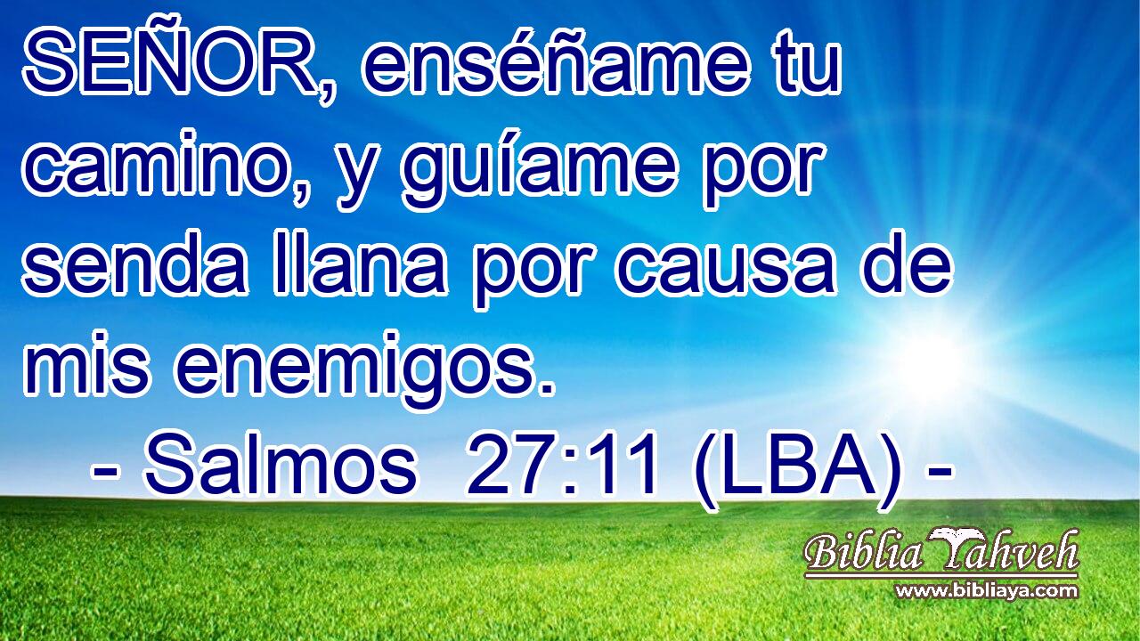 SEÑOR, enséñame tu camino, y guíame por senda llana por causa de mis enemigos.