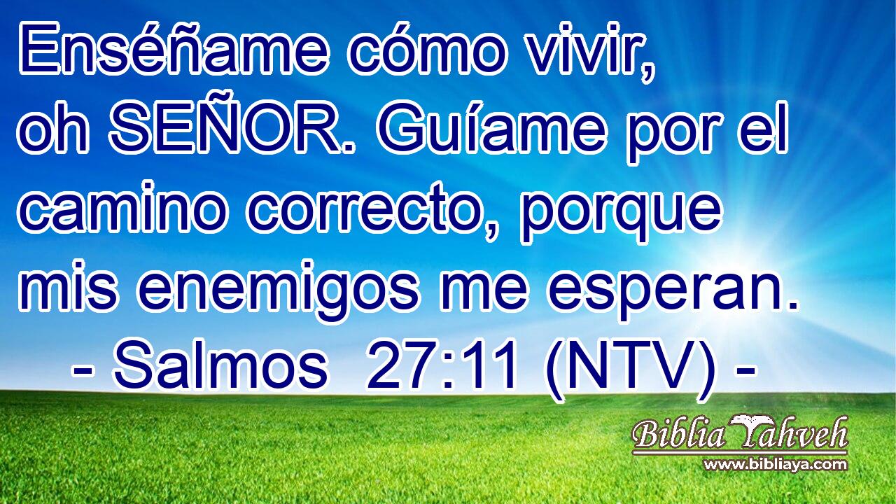 Enséñame cómo vivir, oh SEÑOR. Guíame por el camino correcto, porque mis enemigos me esperan.