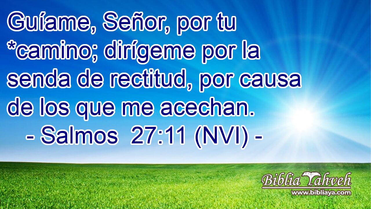  Guíame, Señor, por tu *camino; dirígeme por la senda de rectitud, por causa de los que me acechan. 