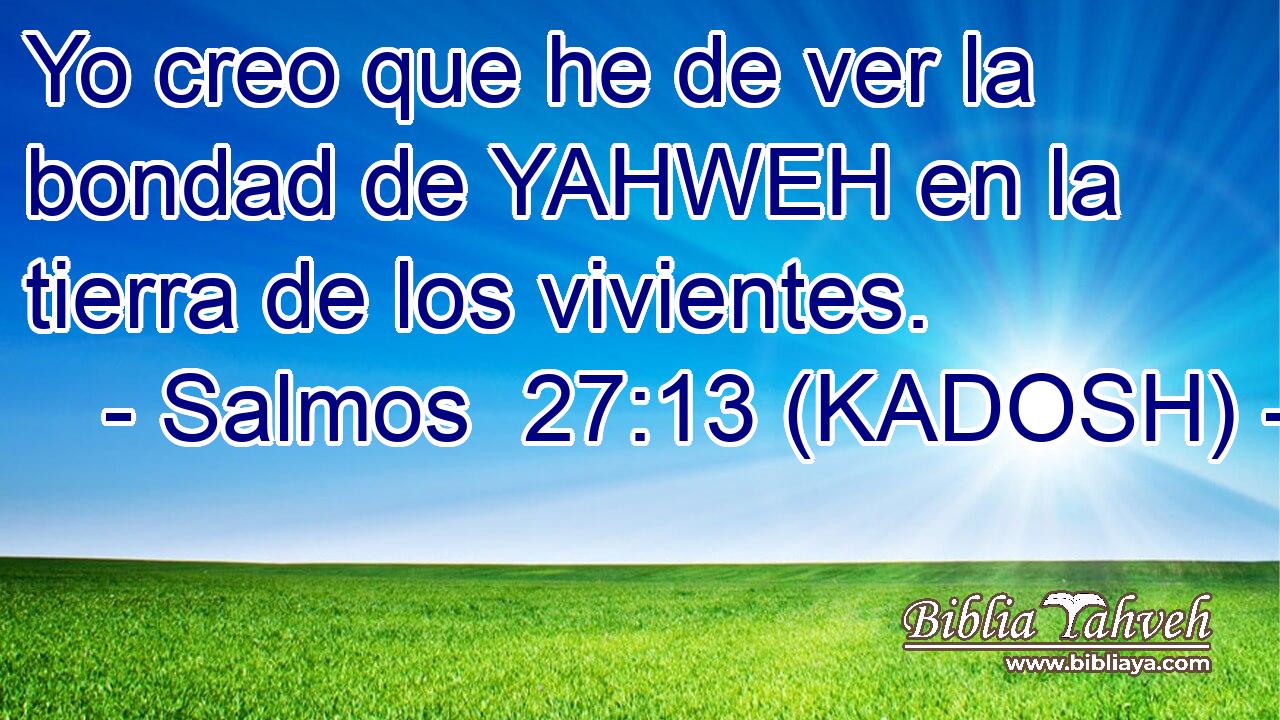  Yo creo que he de ver la bondad de YAHWEH en la tierra de los vivientes. 