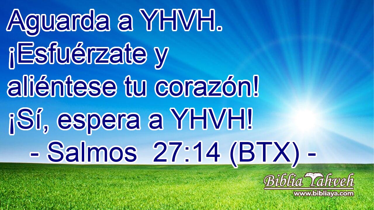 Aguarda a YHVH. ¡Esfuérzate y aliéntese tu corazón! ¡Sí, espera a YHVH!