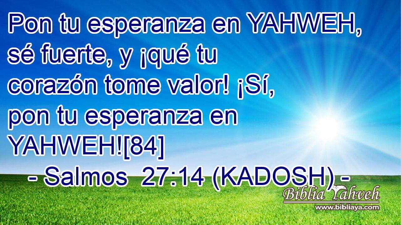  Pon tu esperanza en YAHWEH, sé fuerte, y ¡qué tu corazón tome valor! ¡Sí, pon tu esperanza en YAHWEH![84] 