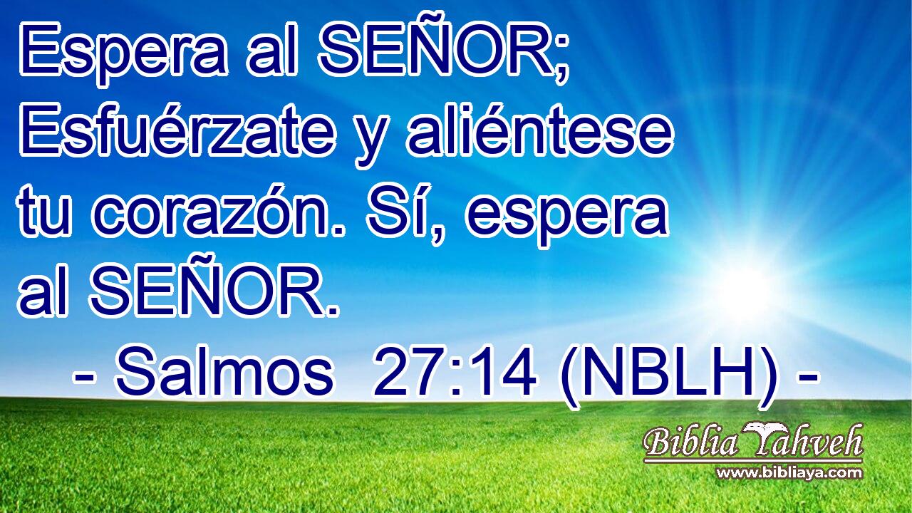  Espera al SEÑOR; Esfuérzate y aliéntese tu corazón. Sí, espera al SEÑOR. 