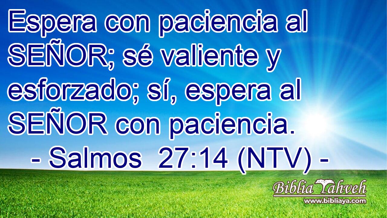 Espera con paciencia al SEÑOR; sé valiente y esforzado; sí, espera al SEÑOR con paciencia.