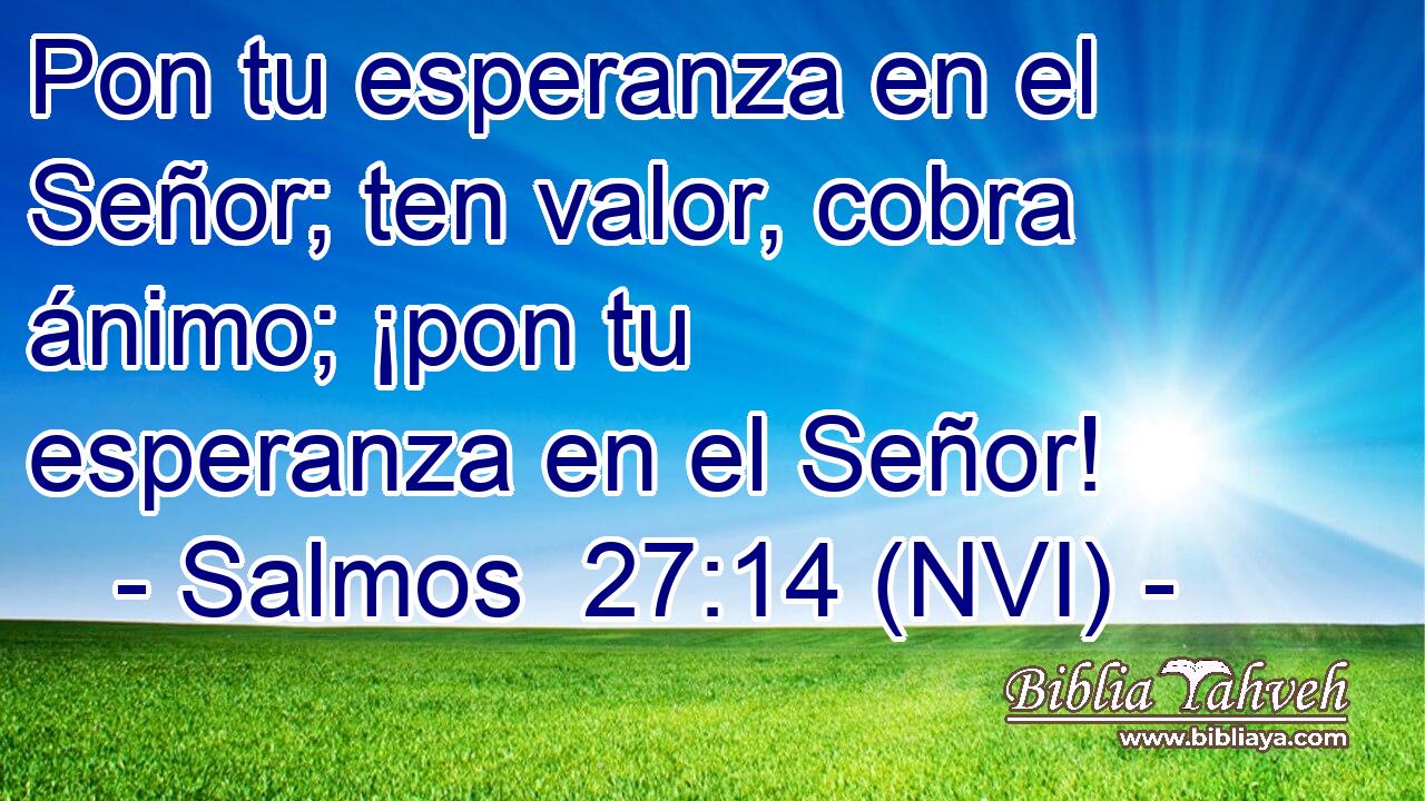  Pon tu esperanza en el Señor; ten valor, cobra ánimo; ¡pon tu esperanza en el Señor! 