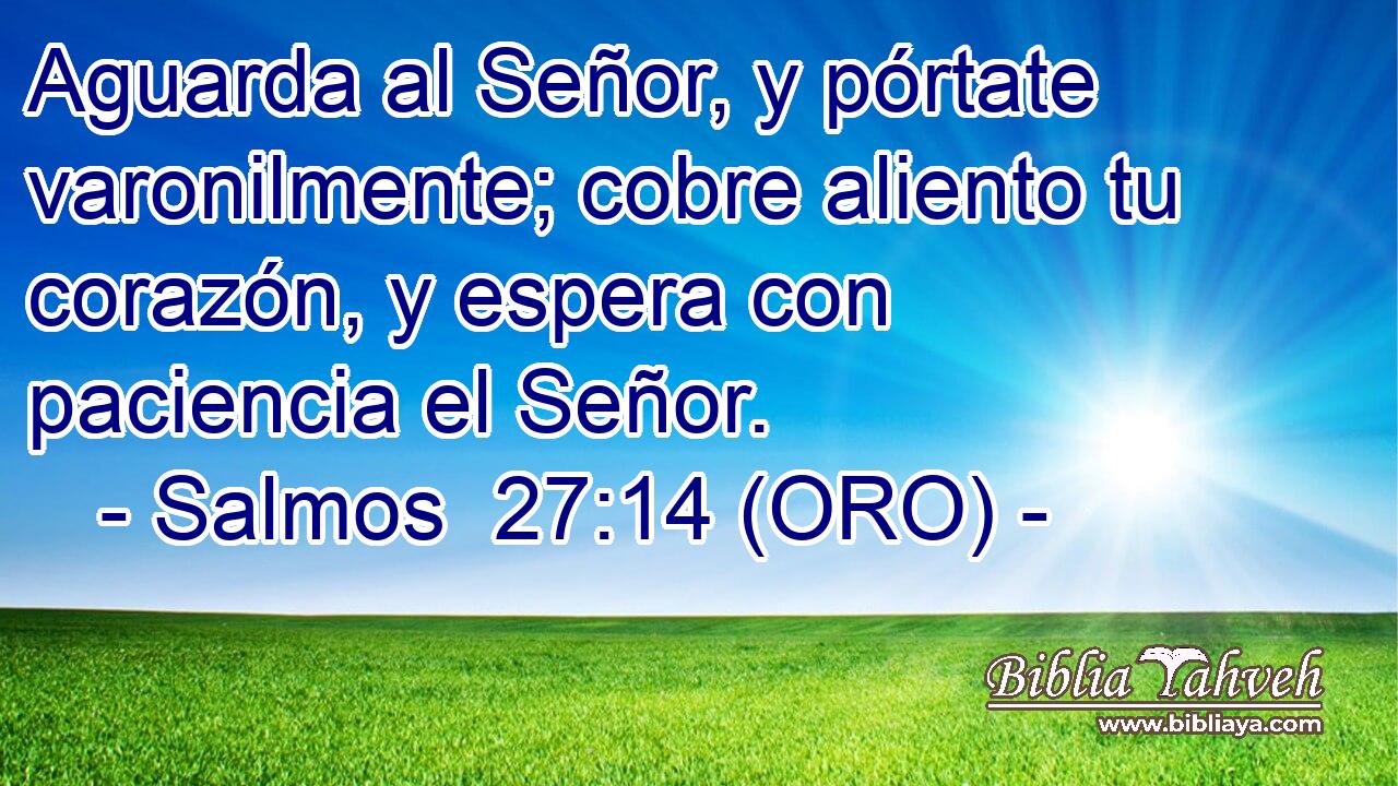  Aguarda al Señor, y pórtate varonilmente; cobre aliento tu corazón, y espera con paciencia el Señor. 