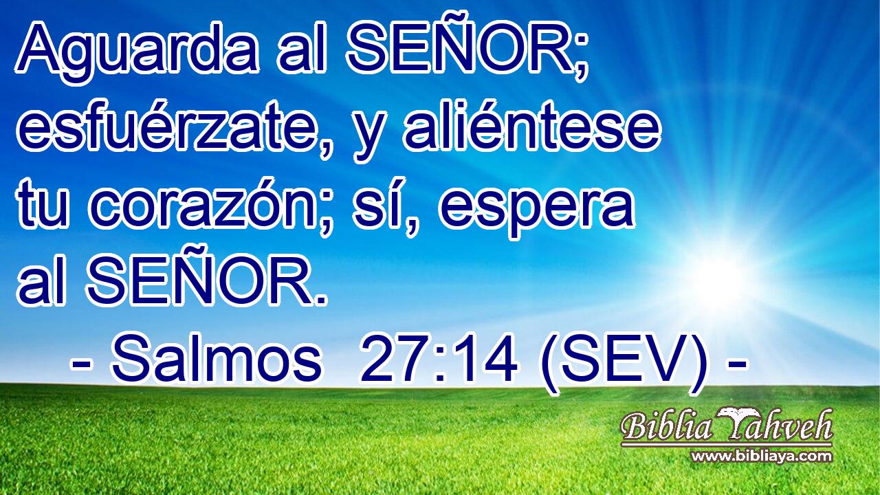 Aguarda al SEÑOR; esfuérzate, y aliéntese tu corazón; sí, espera al SEÑOR.