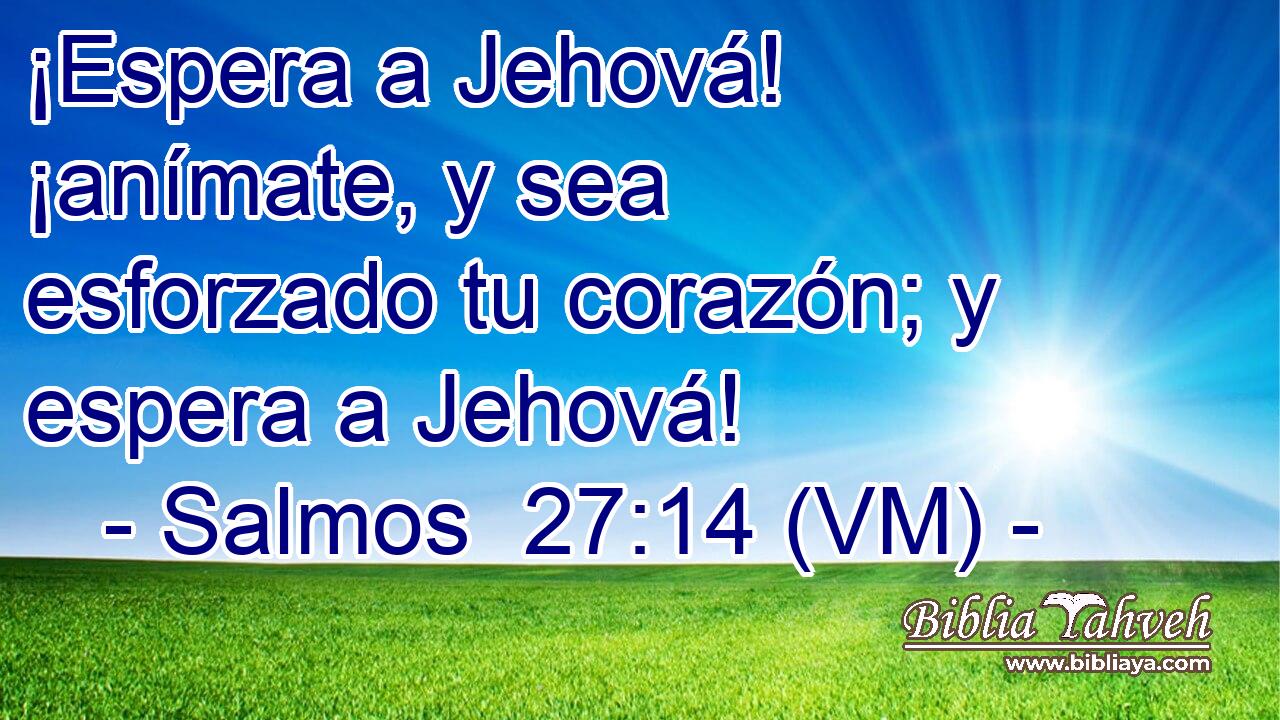  ¡Espera a Jehová! ¡anímate, y sea esforzado tu corazón; y espera a Jehová! 