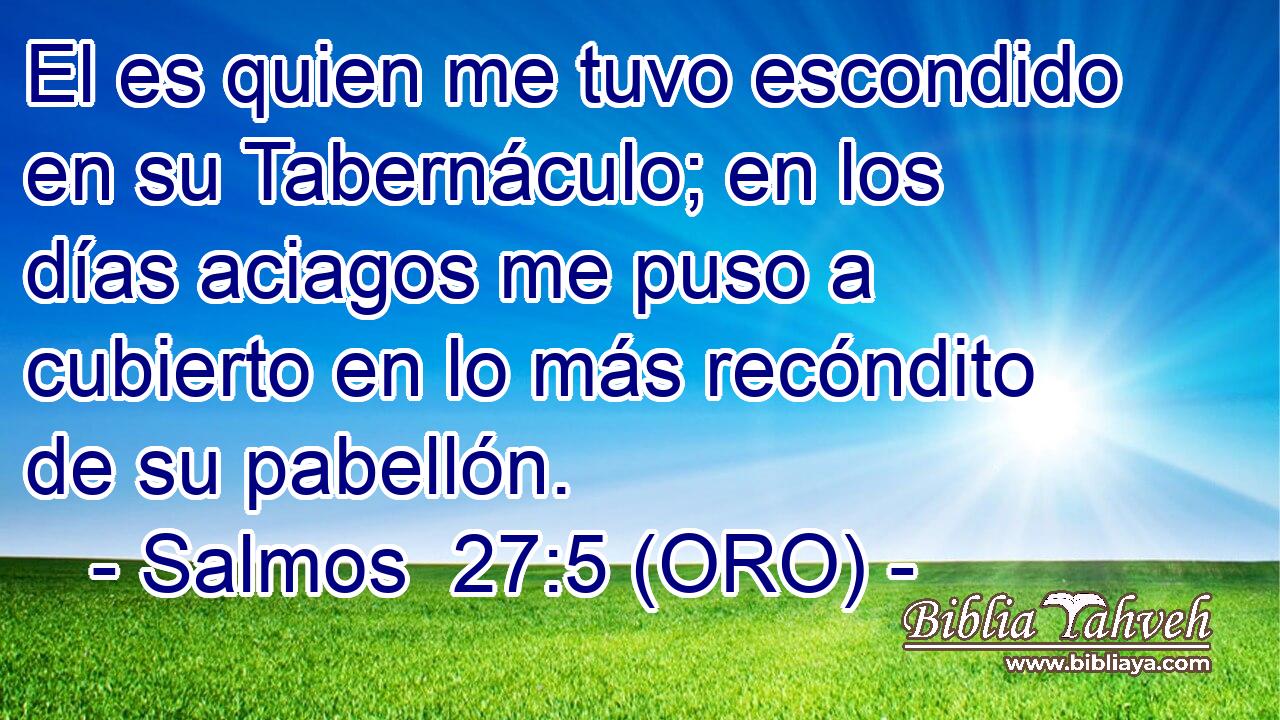 El es quien me tuvo escondido en su Tabernáculo; en los días aciagos me puso a cubierto en lo más recóndito de su pabellón. 