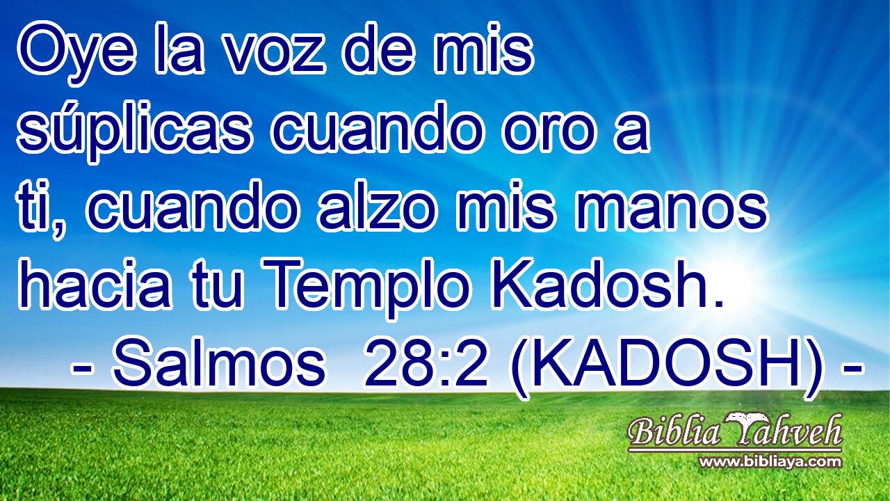  Oye la voz de mis súplicas cuando oro a ti, cuando alzo mis manos hacia tu Templo Kadosh. 
