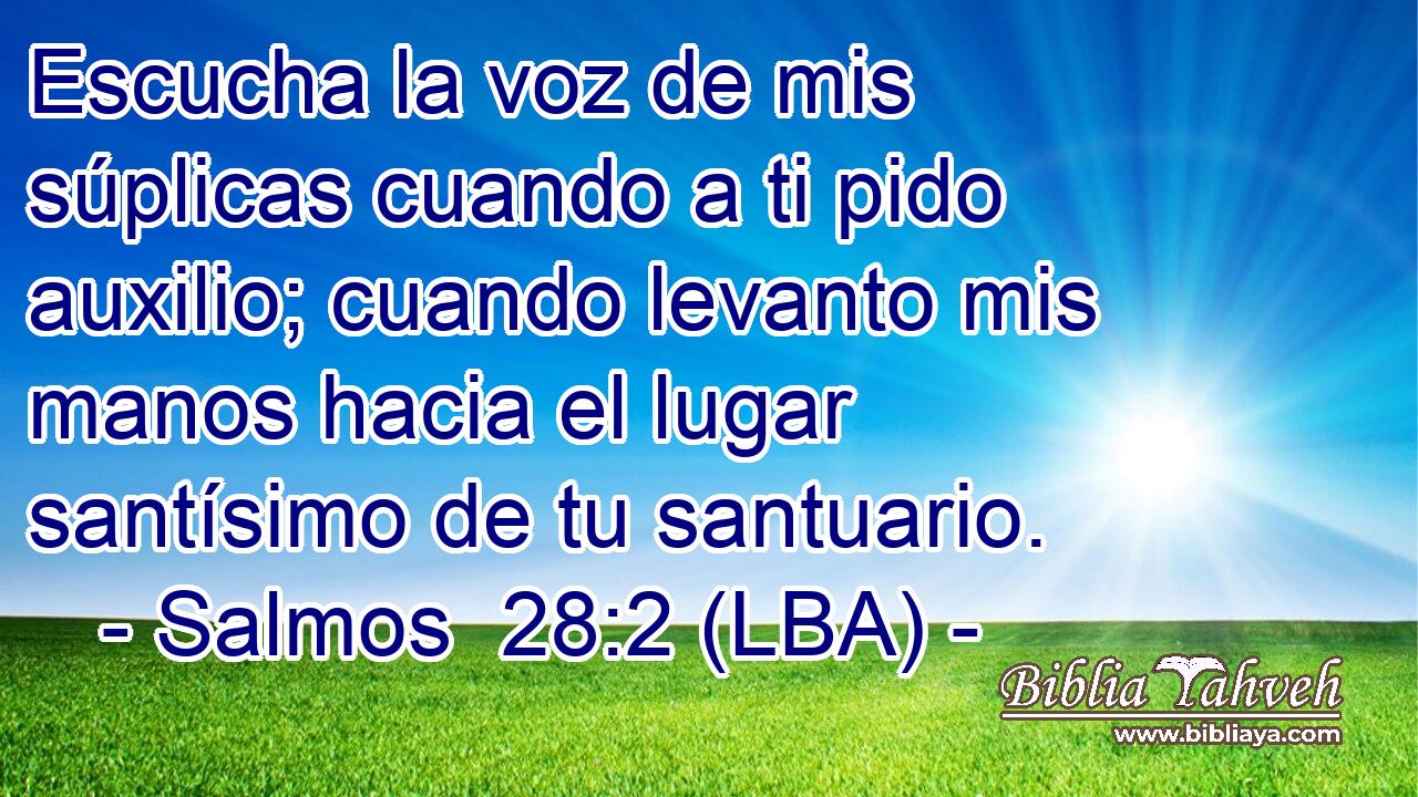 Escucha la voz de mis súplicas cuando a ti pido auxilio; cuando levanto mis manos hacia el lugar santísimo de tu santuario.