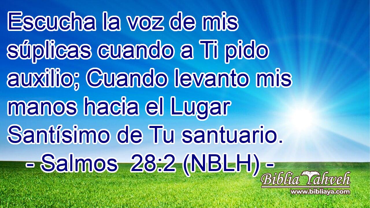  Escucha la voz de mis súplicas cuando a Ti pido auxilio; Cuando levanto mis manos hacia el Lugar Santísimo de Tu santuario. 